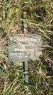 Захоронение ID 1360425