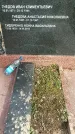 Захоронение ID 1360910