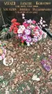 Захоронение ID 1360935