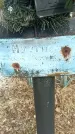 Захоронение ID 1360944
