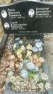 Захоронение ID 1361197
