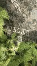 Захоронение ID 1361324