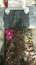 Захоронение ID 1361428