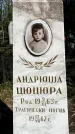 Захоронение ID 1361648