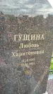 Захоронение ID 1361905