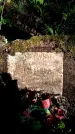 Захоронение ID 1362263
