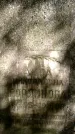 Захоронение ID 1362283