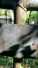 Захоронение ID 1362415