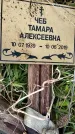 Захоронение ID 1362519