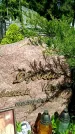 Захоронение ID 1362567
