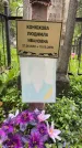 Захоронение ID 1362742