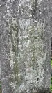 Захоронение ID 1362753