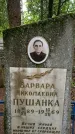 Захоронение ID 1362821