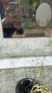 Захоронение ID 1363064