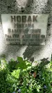 Захоронение ID 1363180