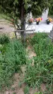Захоронение ID 1363209