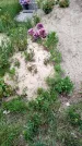 Захоронение ID 1363223