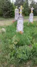 Захоронение ID 1363224