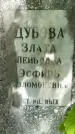 Захоронение ID 1363238