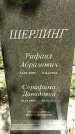 Захоронение ID 1363259