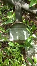 Захоронение ID 1363311