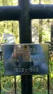 Захоронение ID 1363547