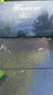 Захоронение ID 1363553