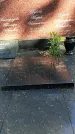 Захоронение ID 1363556