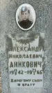 Захоронение ID 1363565