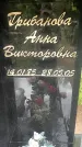 Захоронение ID 1363673