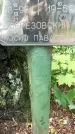 Захоронение ID 1363695