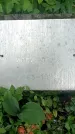 Захоронение ID 1363716