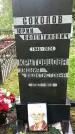Захоронение ID 1363743