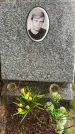Захоронение ID 1363786