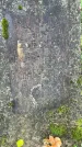 Захоронение ID 1363843