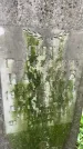 Захоронение ID 1363861