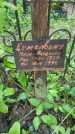 Захоронение ID 1363928