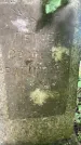 Захоронение ID 1364086