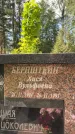Захоронение ID 1364372