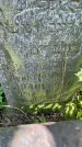 Захоронение ID 1364379