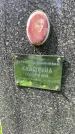 Захоронение ID 1364396