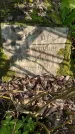 Захоронение ID 1364401