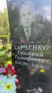 Захоронение ID 1364419