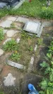 Захоронение ID 1364740