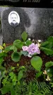 Захоронение ID 1364825