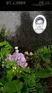 Захоронение ID 1364826