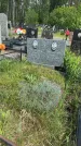 Захоронение ID 1364913
