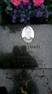 Захоронение ID 1364976