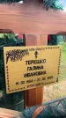 Захоронение ID 1365035