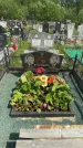 Захоронение ID 1365183